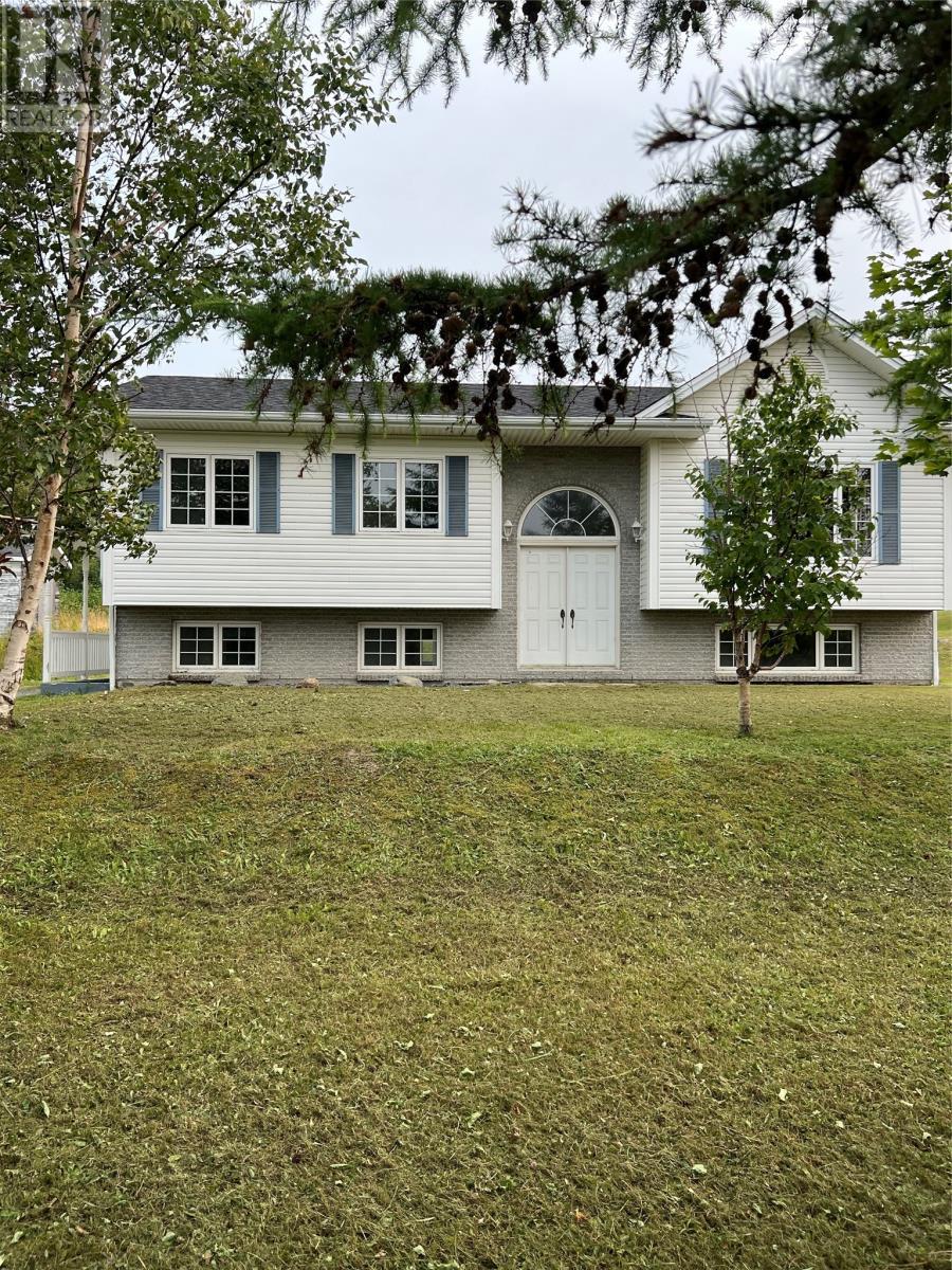 












32 Park Road

,
McIvers,




Newfoundland & Labrador
A2H8E9

