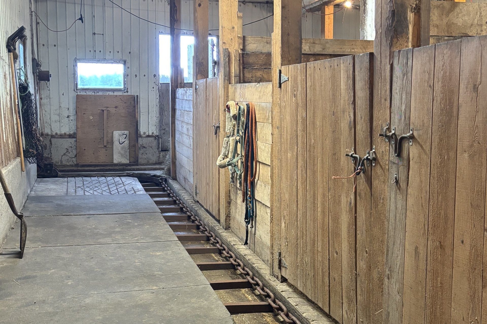 









231


9e-et-10e Rang

,
Saint-Camille,




QC
J0A1G0

