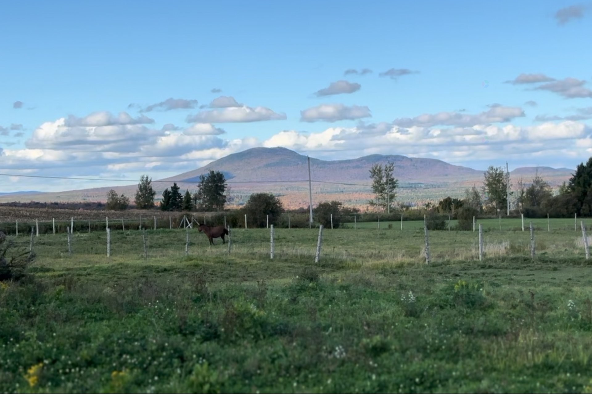 









231


9e-et-10e Rang

,
Saint-Camille,




QC
J0A1G0

