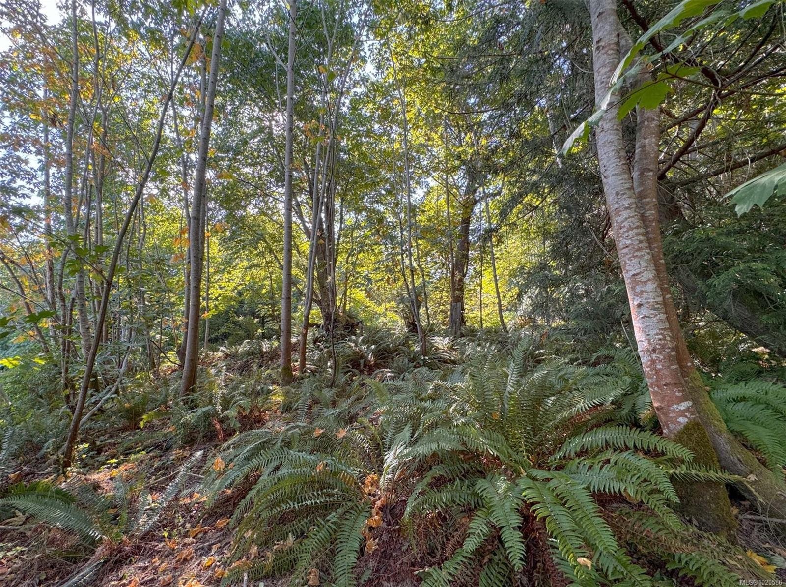 









Lot 7


The Strand

,
Gabriola Island,







BC
V0R 1X0

