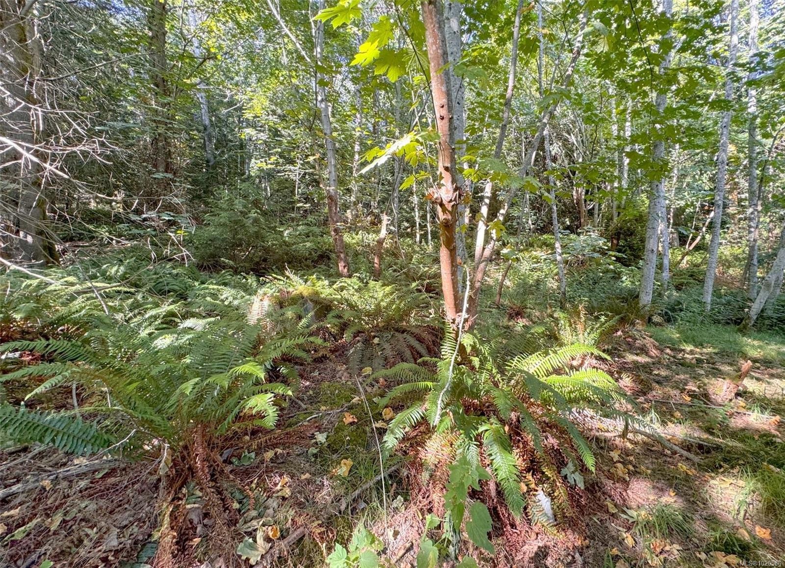 









Lot 7


The Strand

,
Gabriola Island,







BC
V0R 1X0

