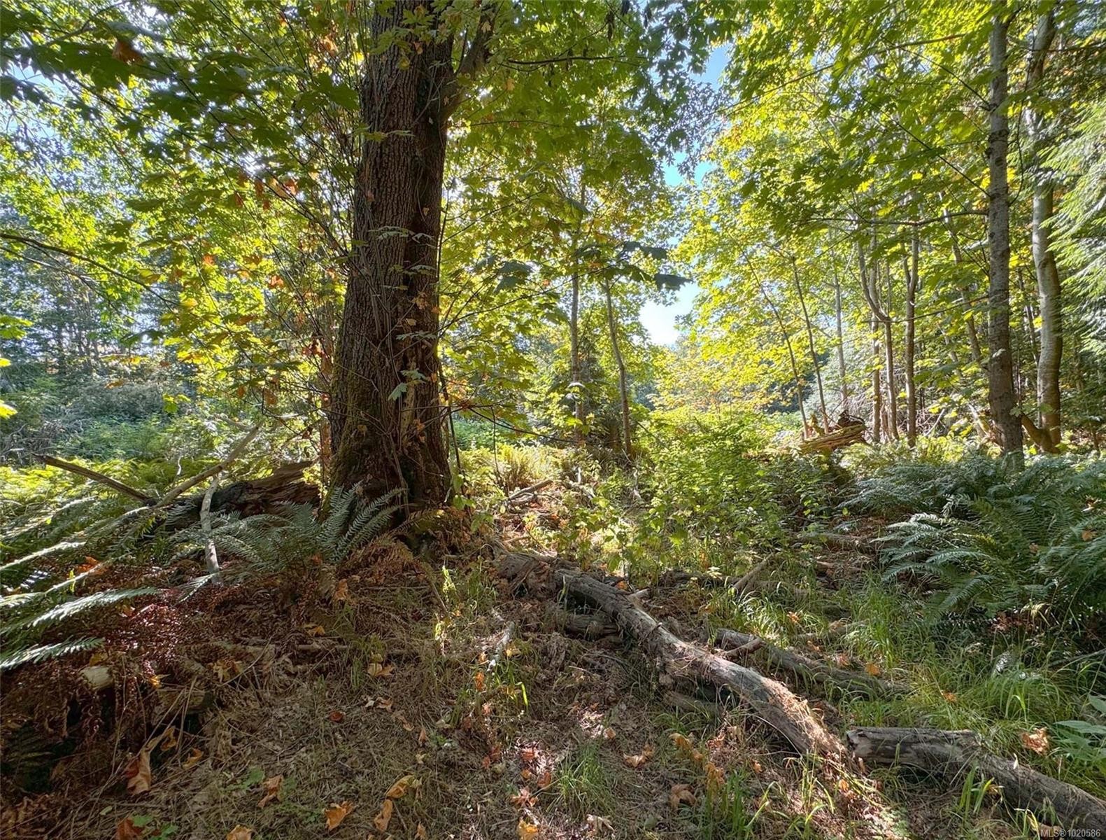 









Lot 7


The Strand

,
Gabriola Island,







BC
V0R 1X0

