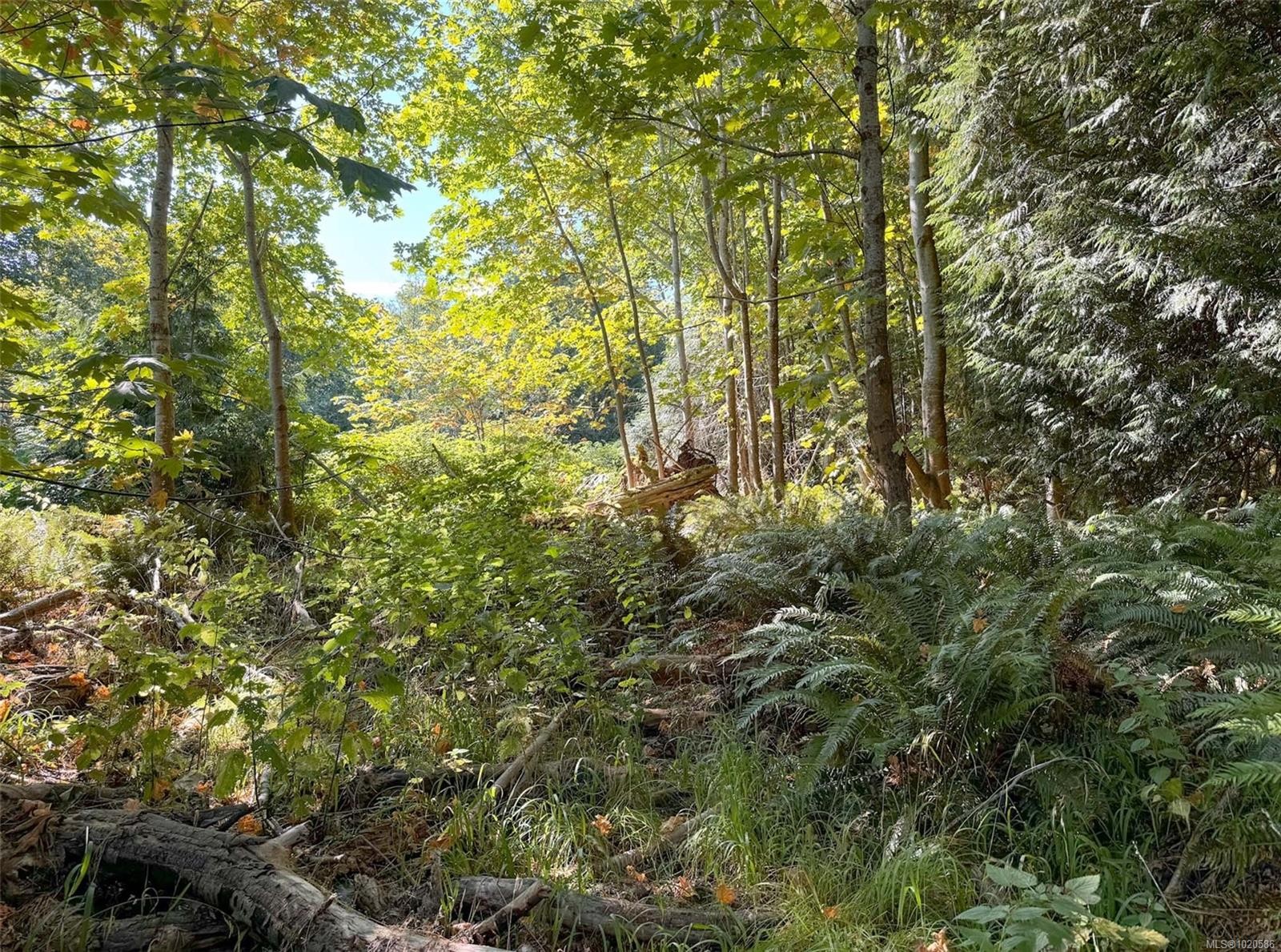 









Lot 7


The Strand

,
Gabriola Island,







BC
V0R 1X0

