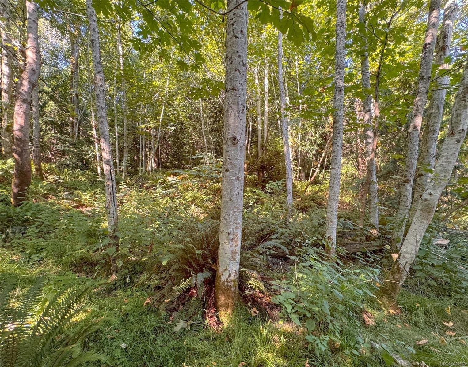 









Lot 7


The Strand

,
Gabriola Island,







BC
V0R 1X0

