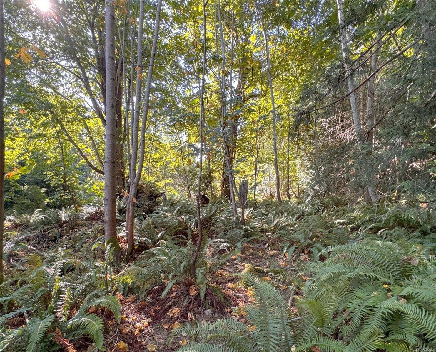 









Lot 7


The Strand

,
Gabriola Island,







BC
V0R 1X0

