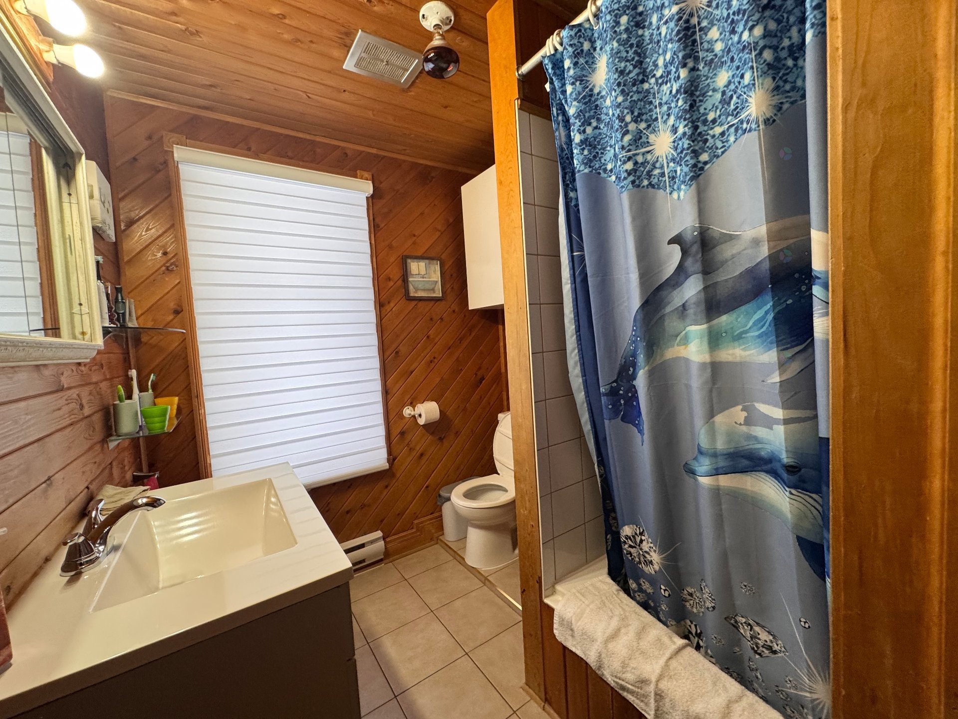 









47


Rue De Lorimier

,
Gatineau (Hull),




QC
J8Y3E1

