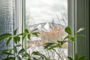 Vue
