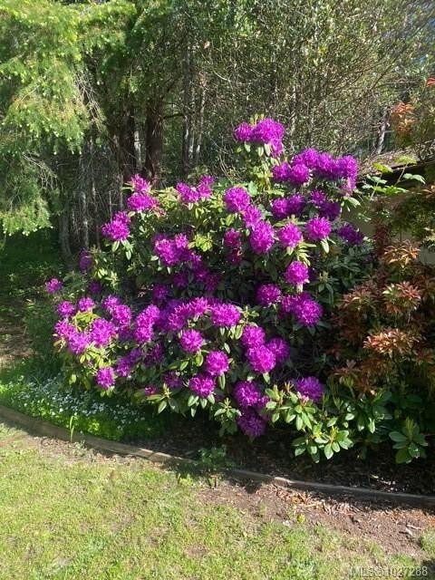 









2700


Woodburn

Rd, 113,
Campbell River,




BC
V9W 4R4

