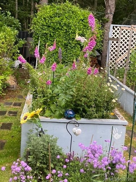 









2700


Woodburn

Rd, 113,
Campbell River,




BC
V9W 4R4

