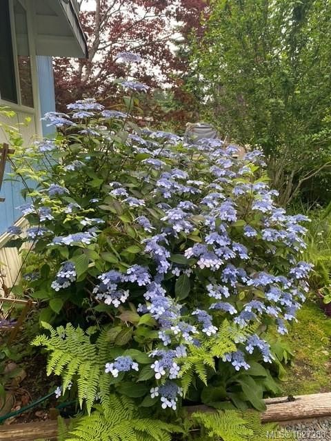 









2700


Woodburn

Rd, 113,
Campbell River,




BC
V9W 4R4

