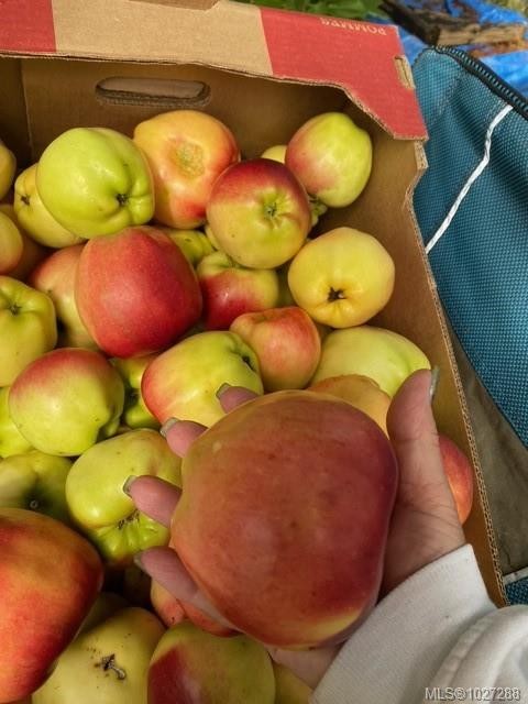 









2700


Woodburn

Rd, 113,
Campbell River,




BC
V9W 4R4

