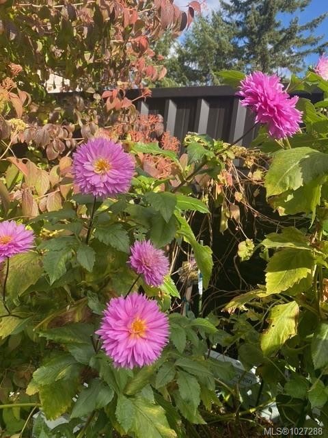 









2700


Woodburn

Rd, 113,
Campbell River,




BC
V9W 4R4

