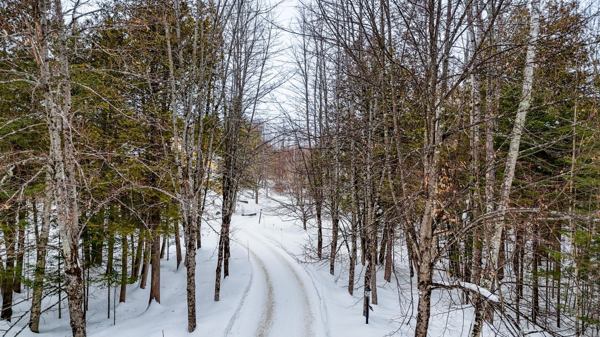 









219


Ch. du Nordet

,
Magog,




QC
J1X0M8

