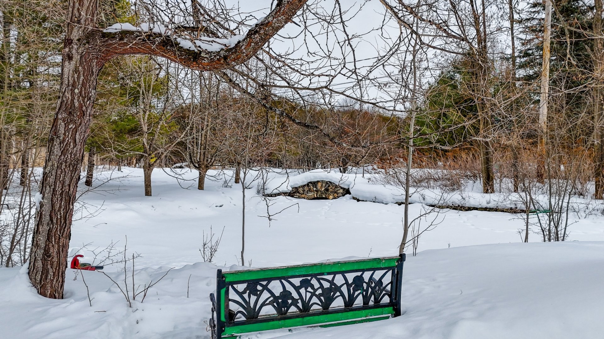 









219


Ch. du Nordet

,
Magog,




QC
J1X0M8

