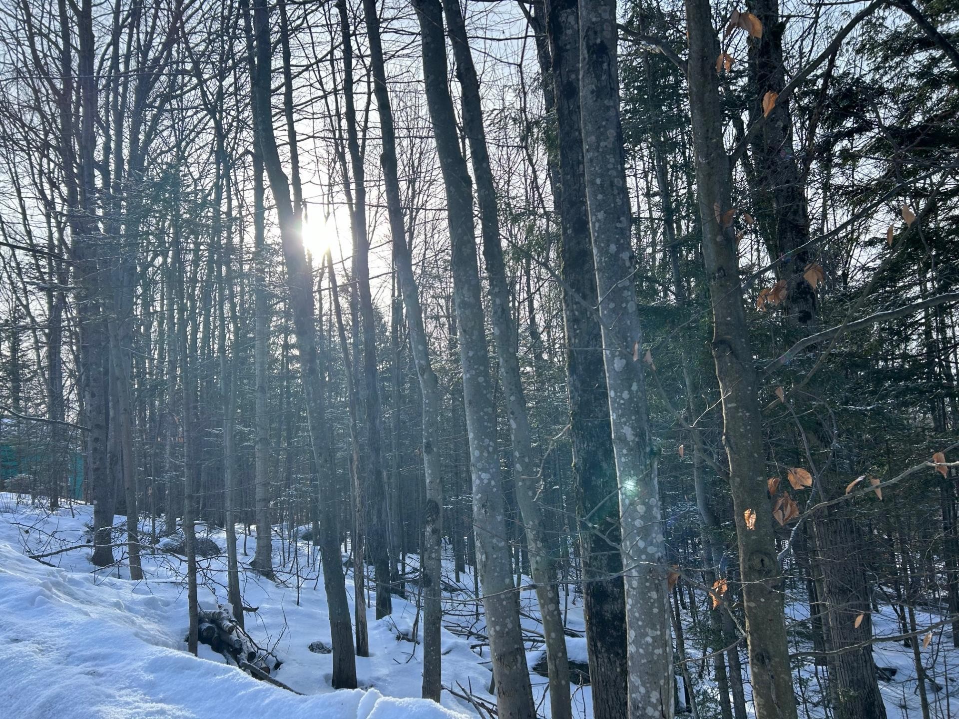 












Ch. des Riverains

,
Austin,







QC
J0B1B0

