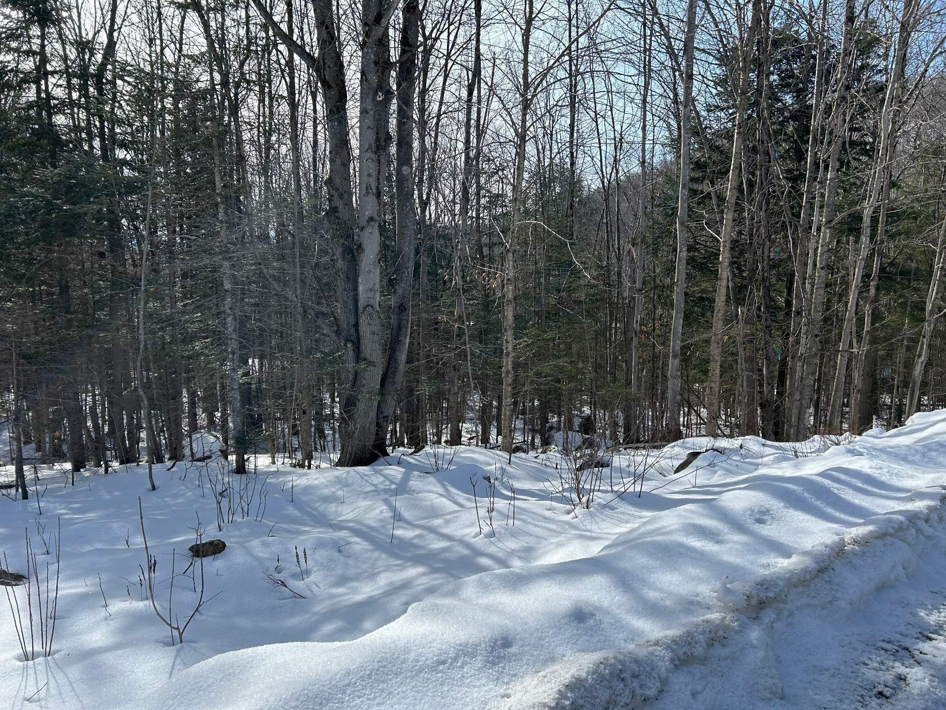 












Ch. des Riverains

,
Austin,







QC
J0B1B0

