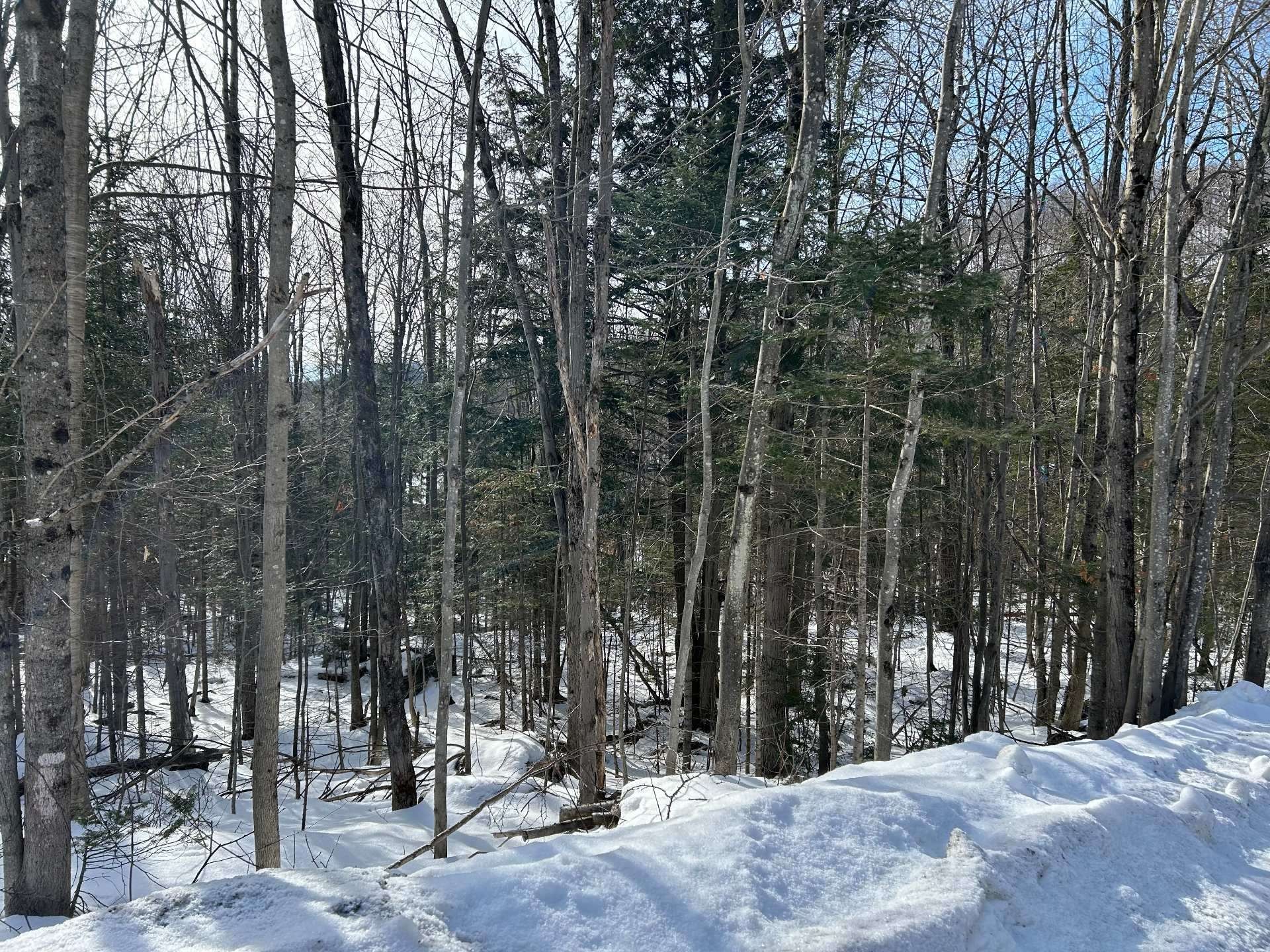 












Ch. des Riverains

,
Austin,







QC
J0B1B0


