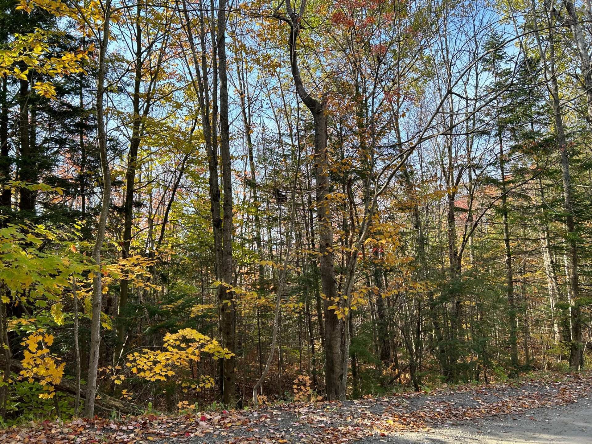 












Ch. des Riverains

,
Austin,







QC
J0B1B0

