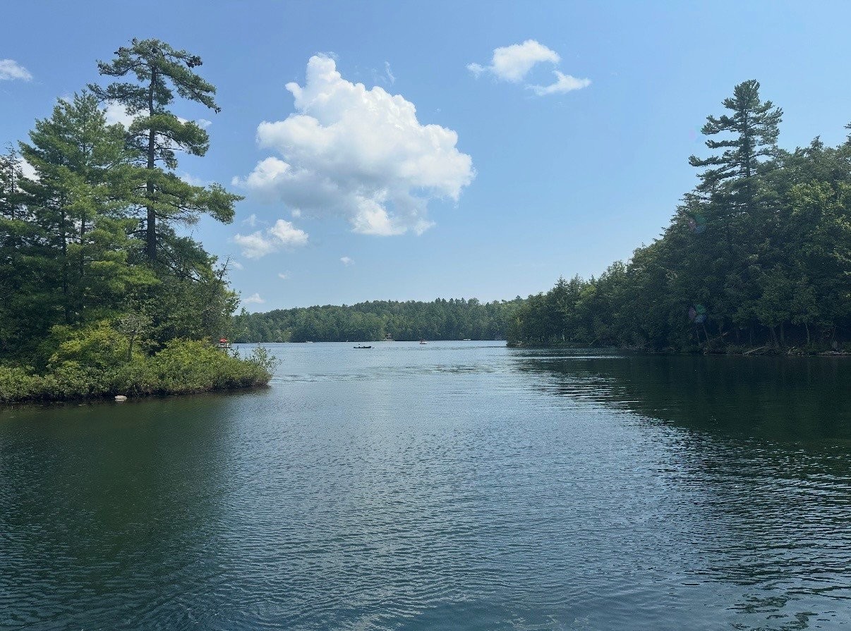 









18


Ch. des Faisans

,
Val-des-Monts,







QC
J8N6L6

