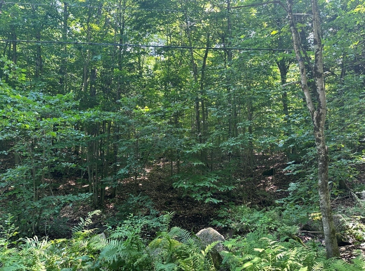 









18


Ch. des Faisans

,
Val-des-Monts,







QC
J8N6L6

