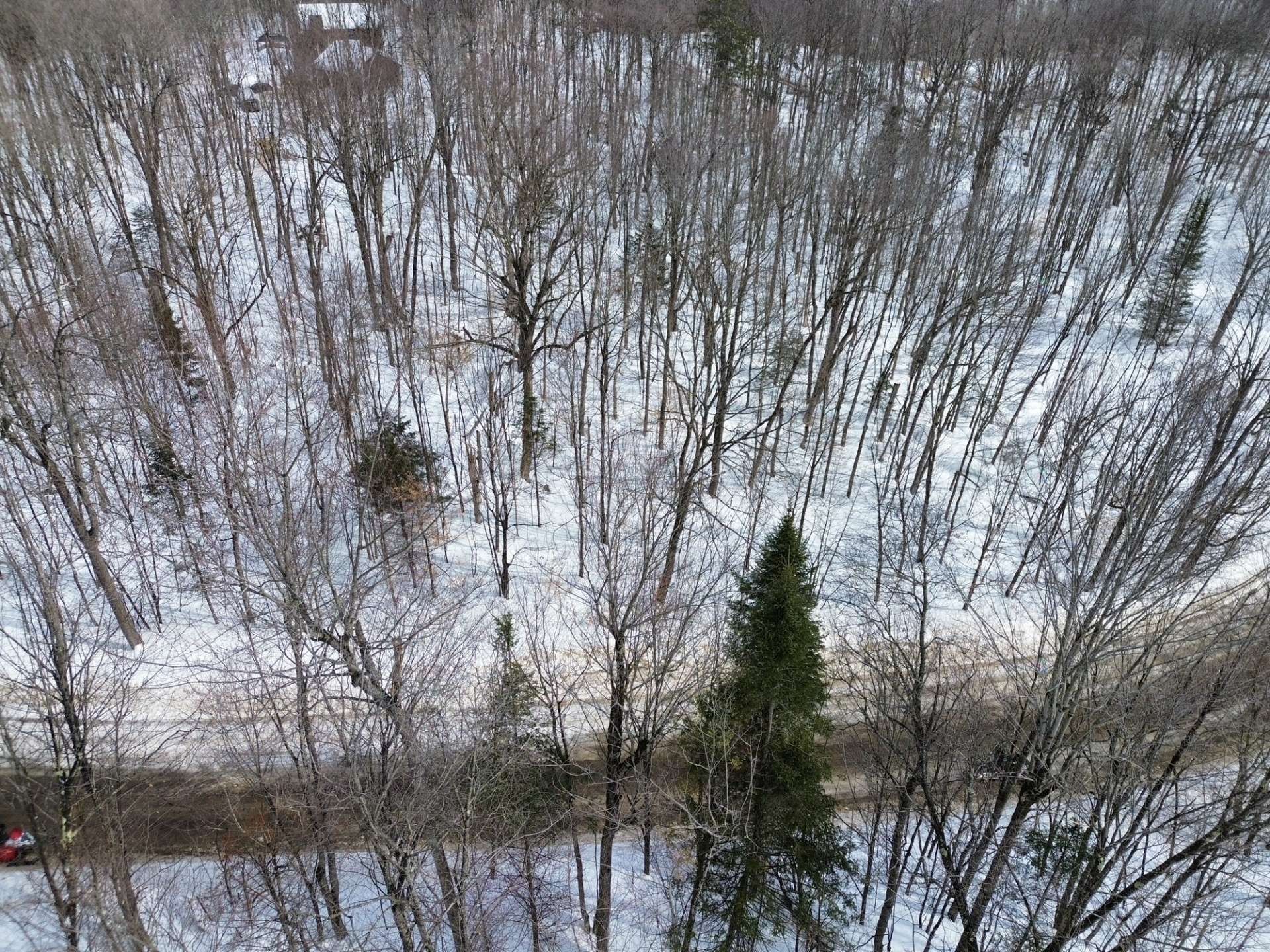 












Rue du Relais

,
Brownsburg-Chatham,







QC
J8G0E4

