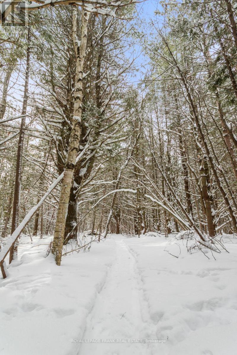 












5 REGENT STREET

,
Georgina (Pefferlaw),




Ontario
L0E1N0

