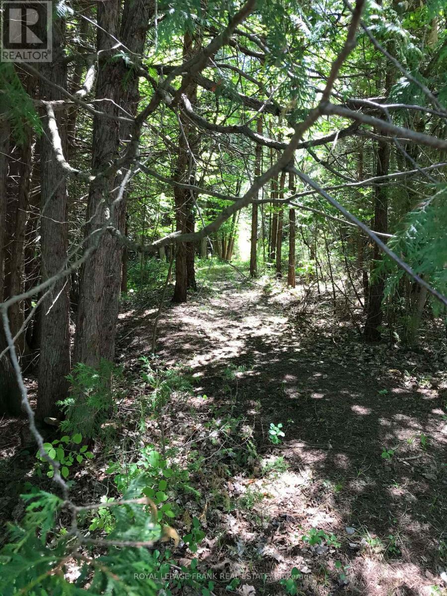 












5 REGENT STREET

,
Georgina (Pefferlaw),




Ontario
L0E1N0

