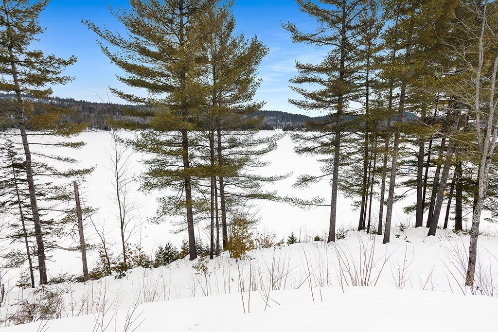 









488


Lac Sauriol

,
Waltham,




QC
J0X3H0

