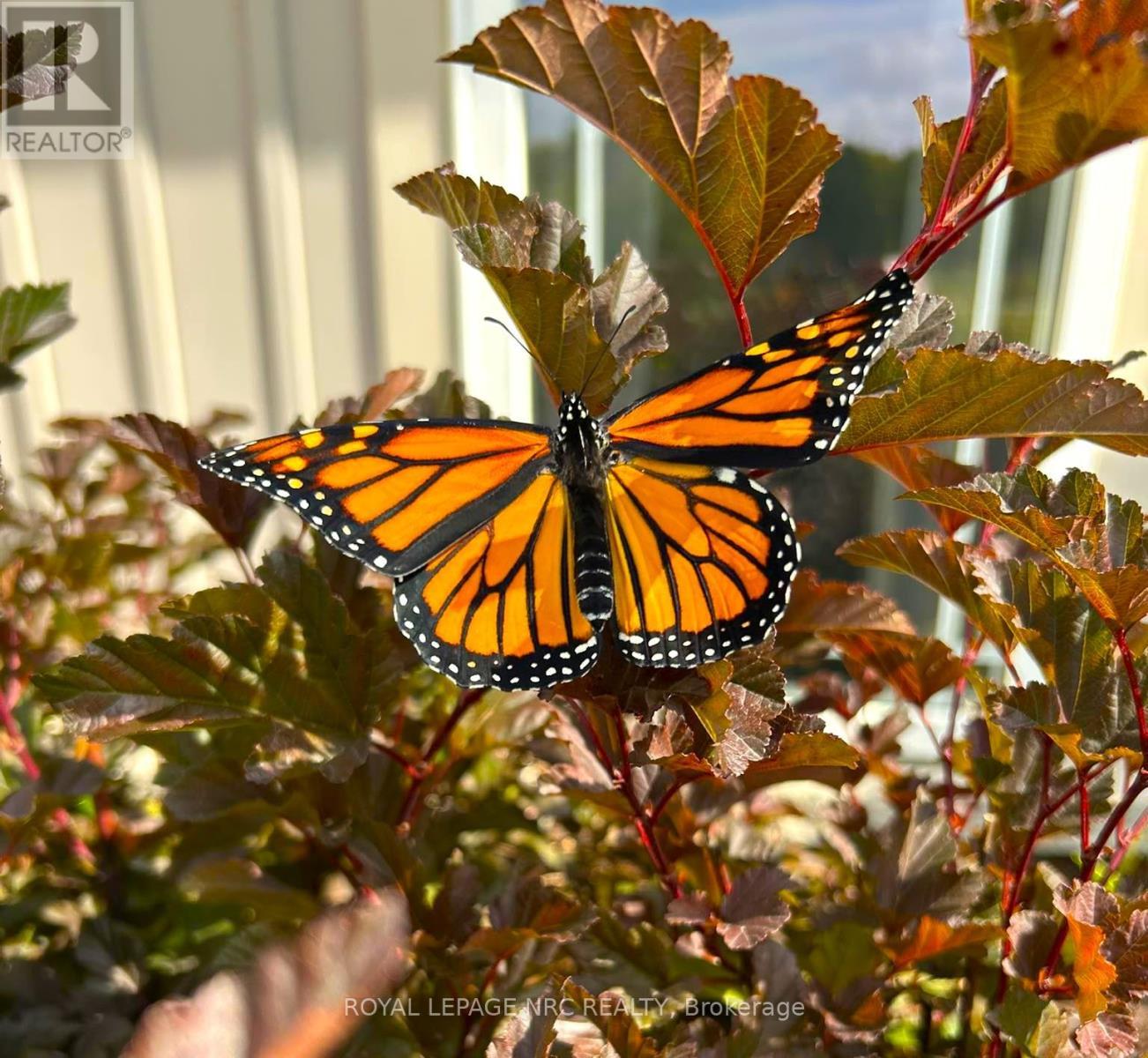 












4511 MILLER ROAD

,
Port Colborne (Bethel),




Ontario
L3B5N7

