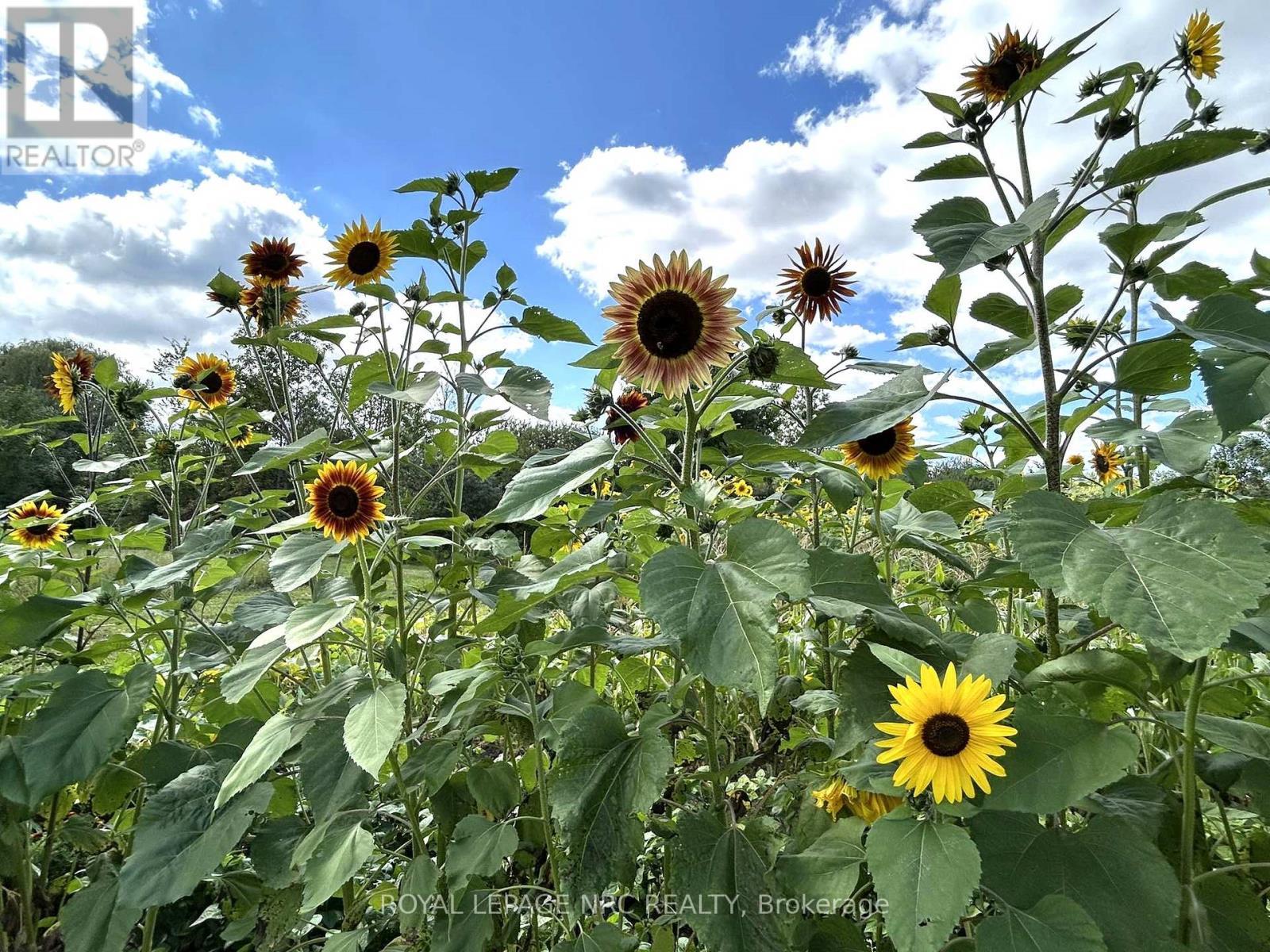 












4511 MILLER ROAD

,
Port Colborne (Bethel),




Ontario
L3B5N7

