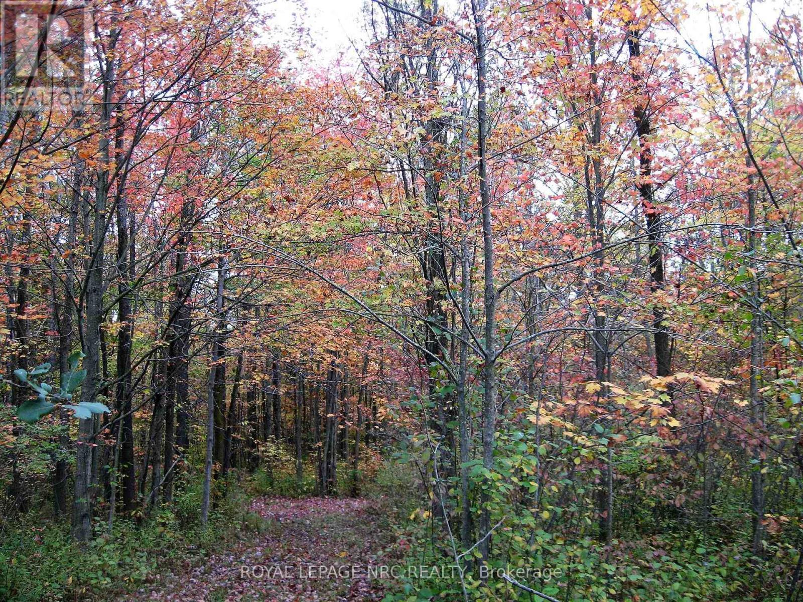 












4511 MILLER ROAD

,
Port Colborne (Bethel),




Ontario
L3B5N7

