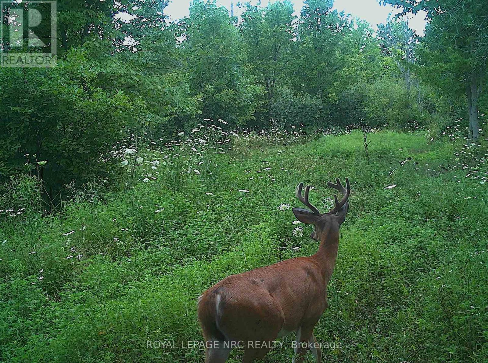 












4511 MILLER ROAD

,
Port Colborne (Bethel),




Ontario
L3B5N7

