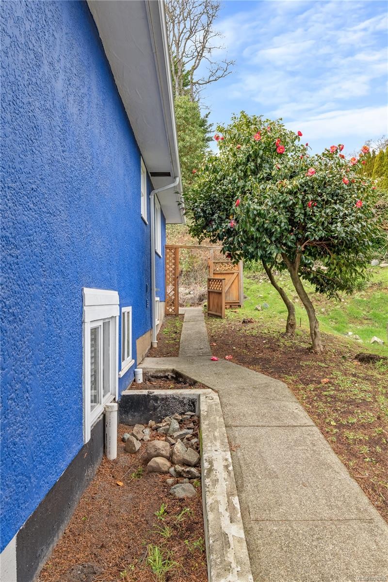 









3560


Cedar Hill

Rd,
Saanich,




BC
V8P 3Z1

