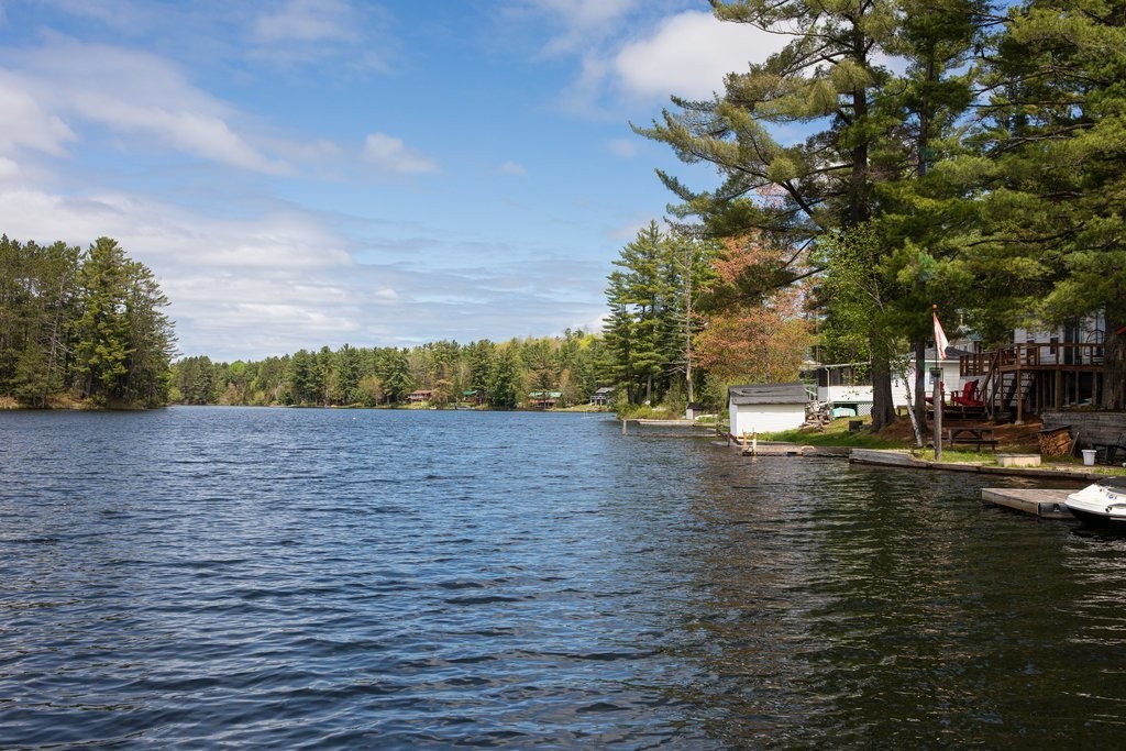 









7


Ch. Reddington

,
Otter Lake,




QC
J0X2P0

