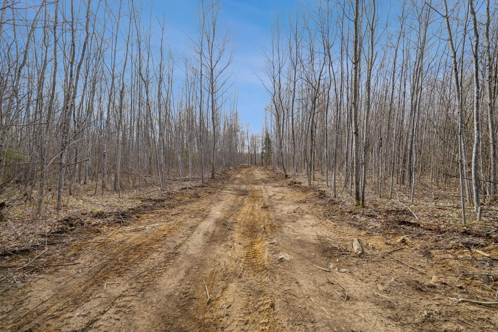 












Ch. de la Chanterelle

,
Kazabazua,







QC
J0K1X0

