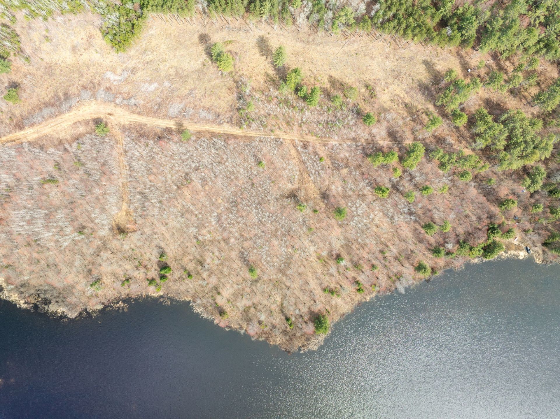 












Ch. de la Chanterelle

,
Kazabazua,







QC
J0K1X0

