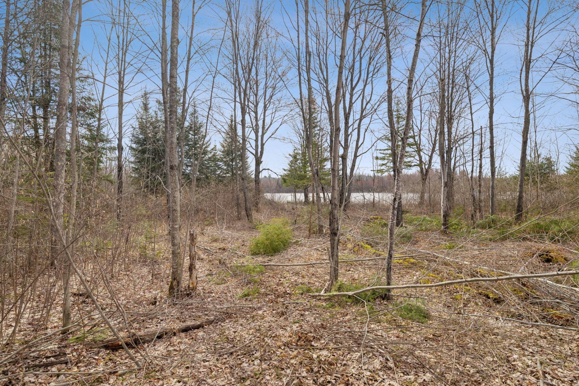 












Ch. de la Chanterelle

,
Kazabazua,







QC
J0K1X0


