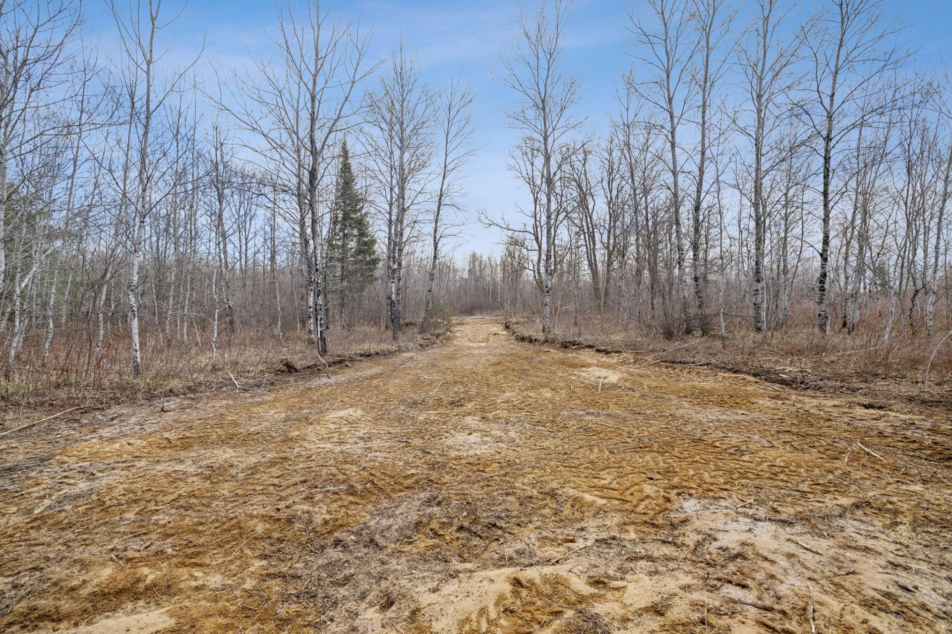 












Ch. de la Chanterelle

,
Kazabazua,







QC
J0K1X0

