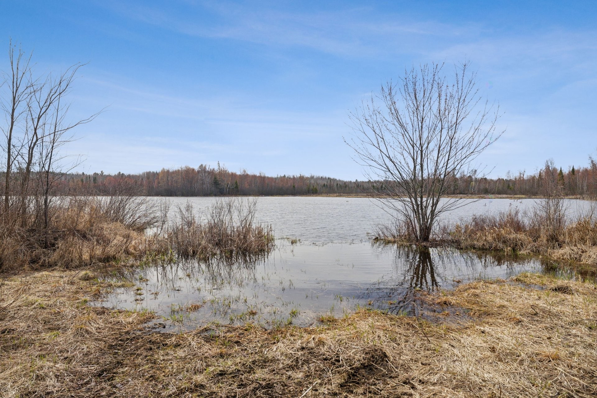 












Ch. de la Chanterelle

,
Kazabazua,







QC
J0K1X0


