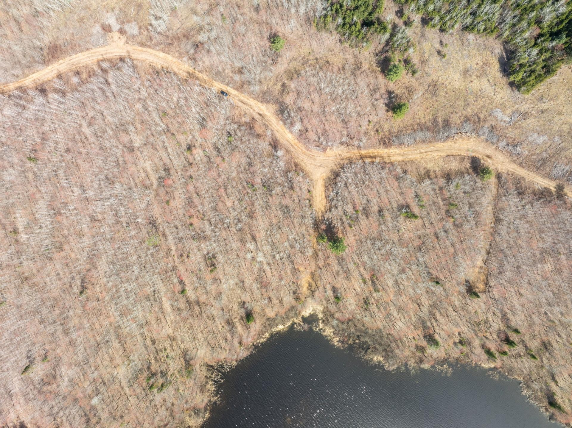 












Ch. de la Chanterelle

,
Kazabazua,







QC
J0K1X0

