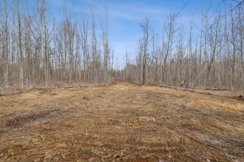 Photo de l'inscription vedette 