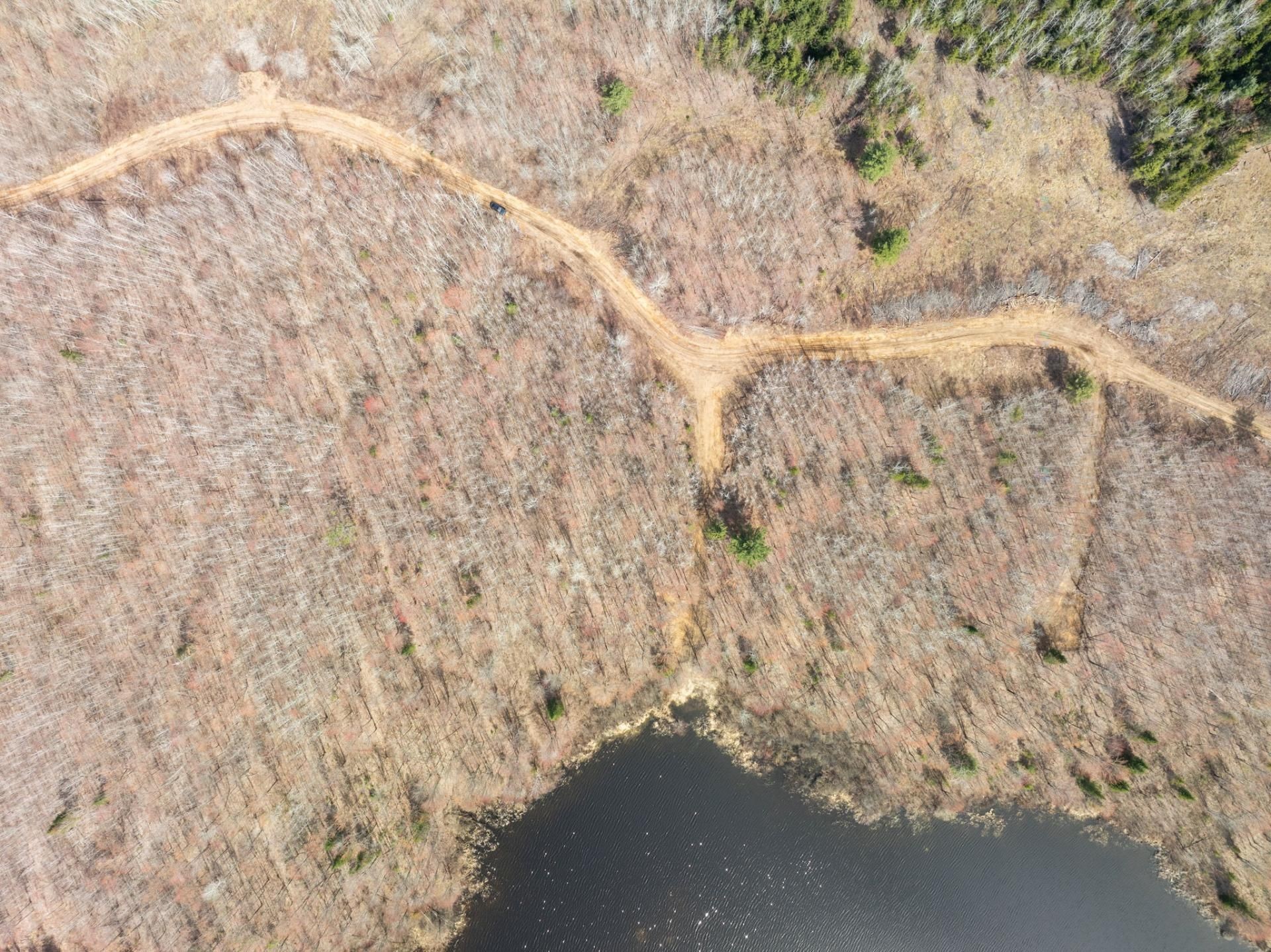 












Ch. de la Chanterelle

,
Kazabazua,







QC
J0K1X0

