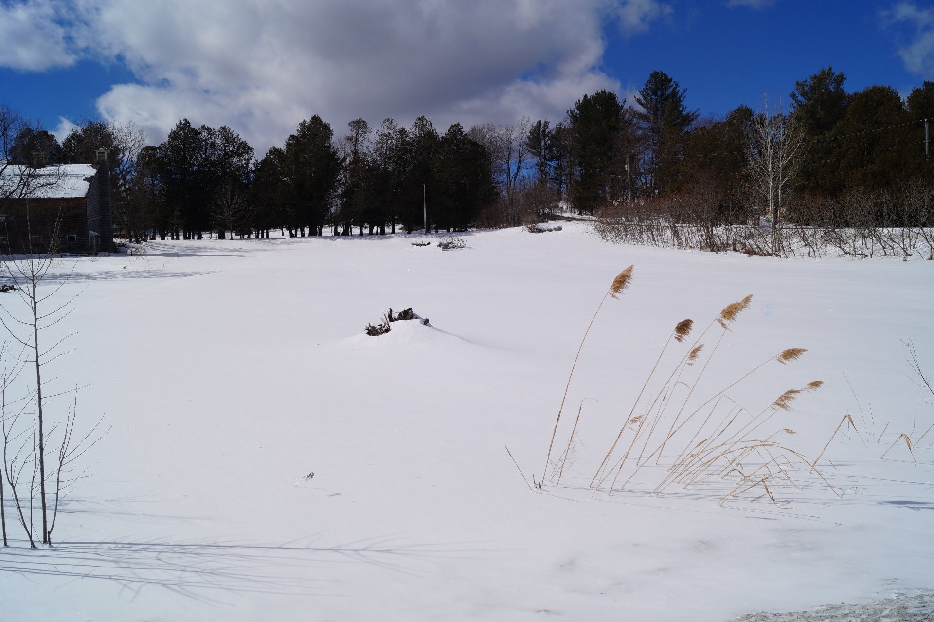 












Rue Laplante

,
Sutton,







QC
J0E2K0

