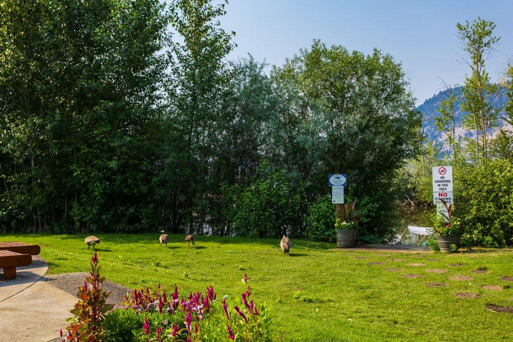 









415


Commonwealth

Road, 35,
Kelowna,




BC
V4V 1P4

