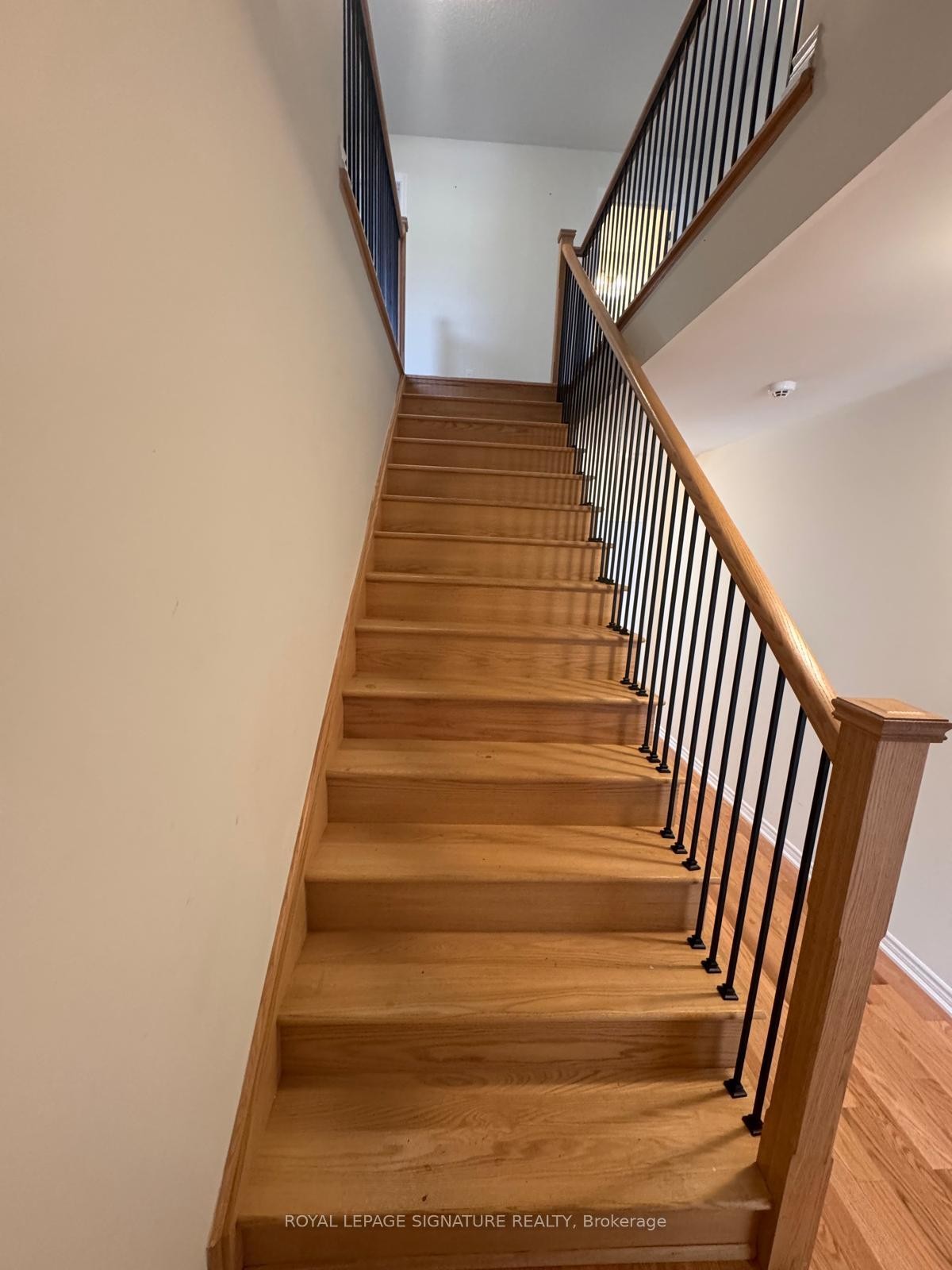 









61


Granka

Street,
Brant,




ON
N3T 0X5

