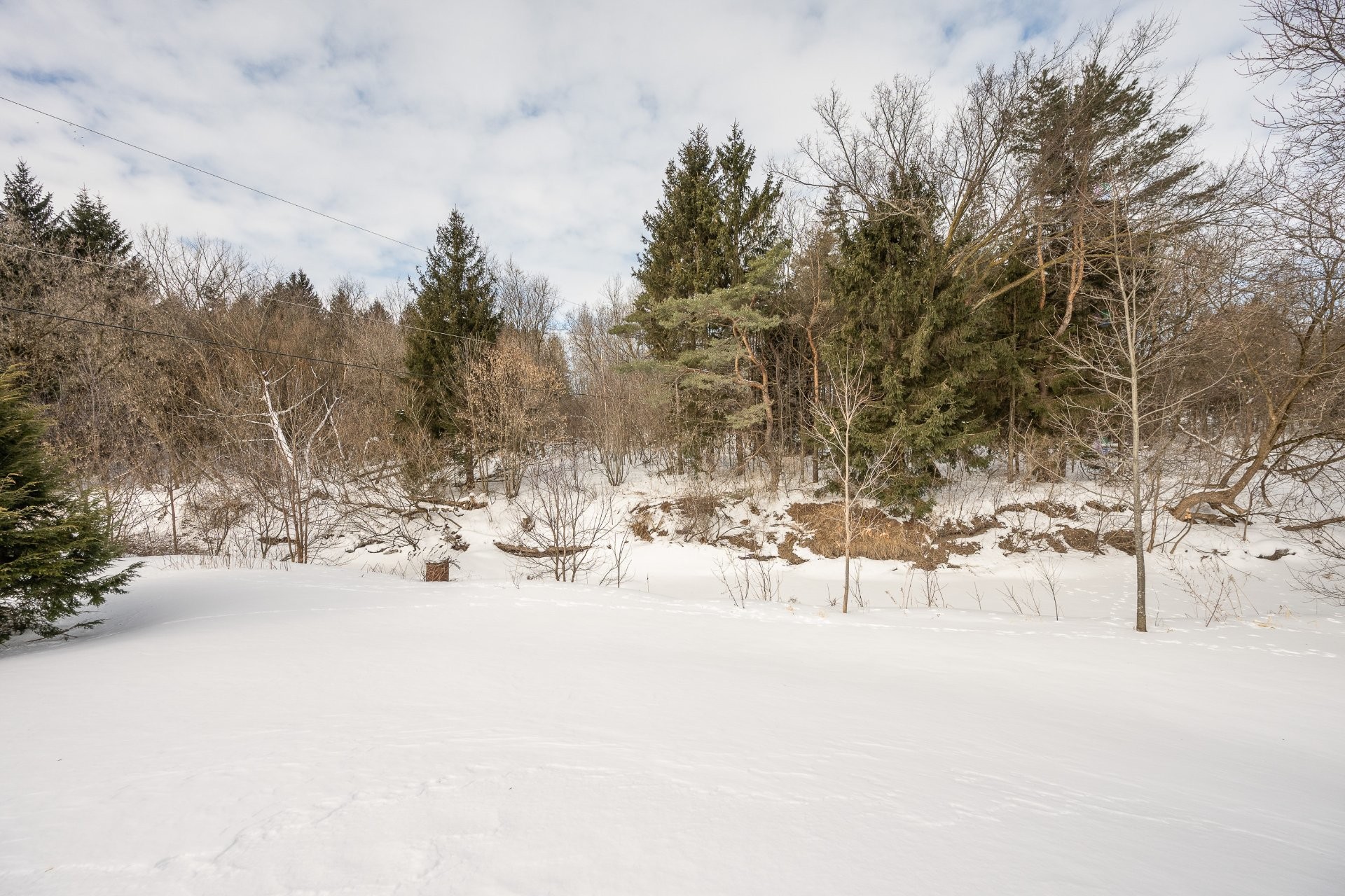 









568


Rg des Irlandais

,
Sainte-Brigide-d'Iberville,




QC
J0J1X0

