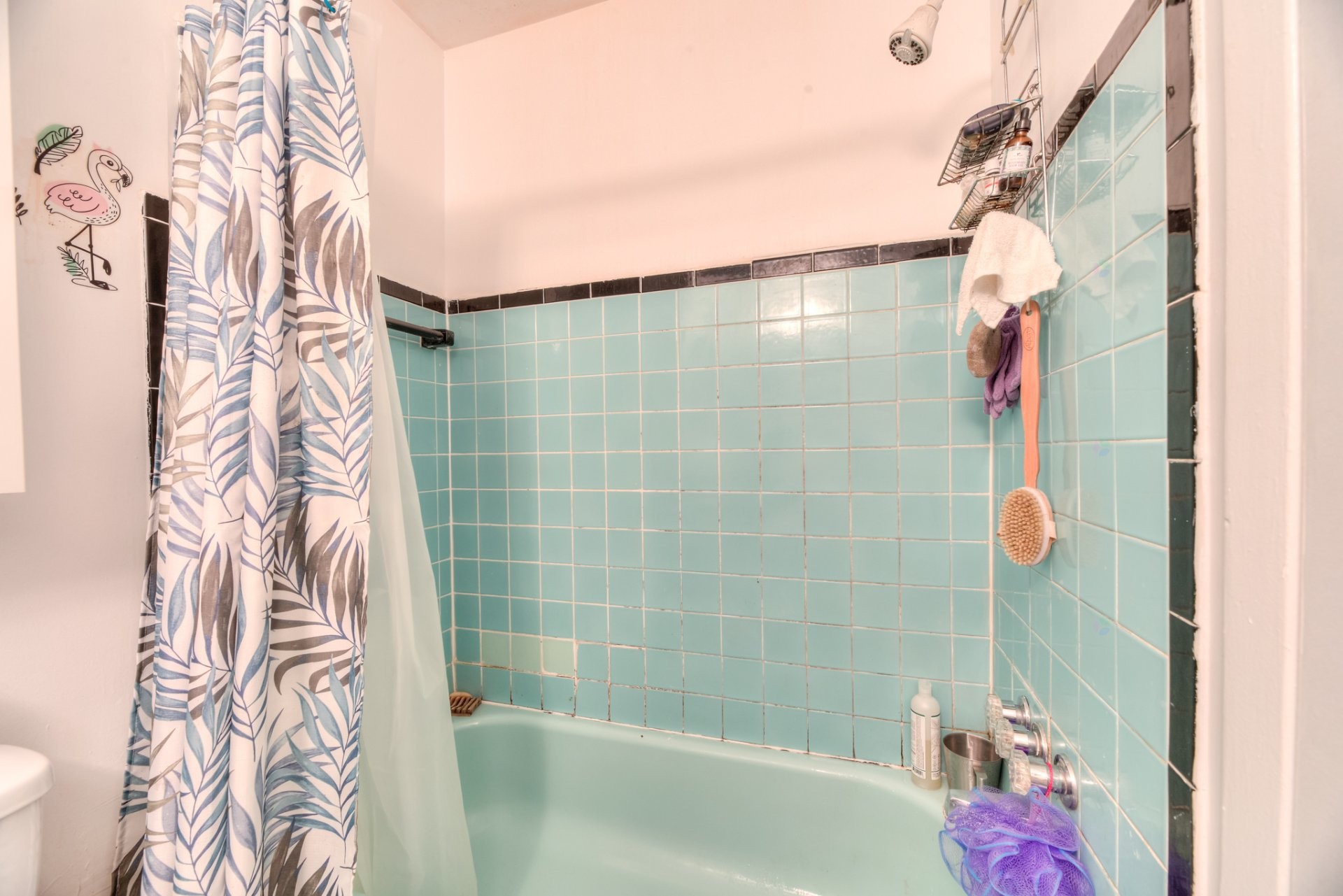 









3355


Rue Ivan-Franko

, 405,
Montréal (Lachine),




QC
H8T1N9

