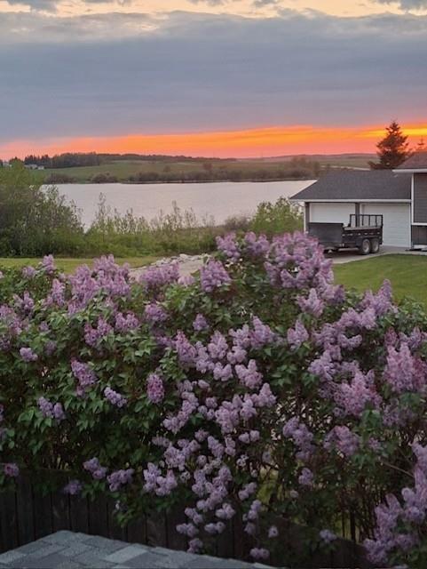 












14 Queen Elizabeth Avenue

,
Erickson,




Manitoba
R0J0P0

