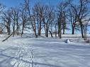 Riverbank. Back of the property
