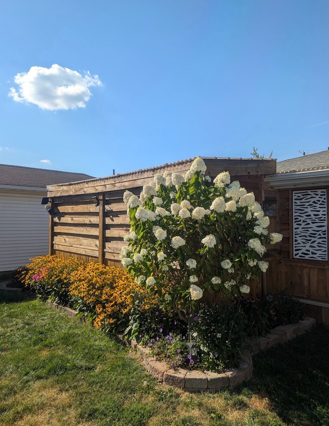 









358


Rue Frontenac

,
Saint-Jean-sur-Richelieu,




QC
J3B3A1

